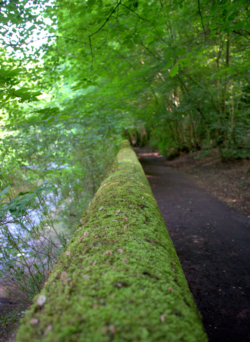 The Water of Leith