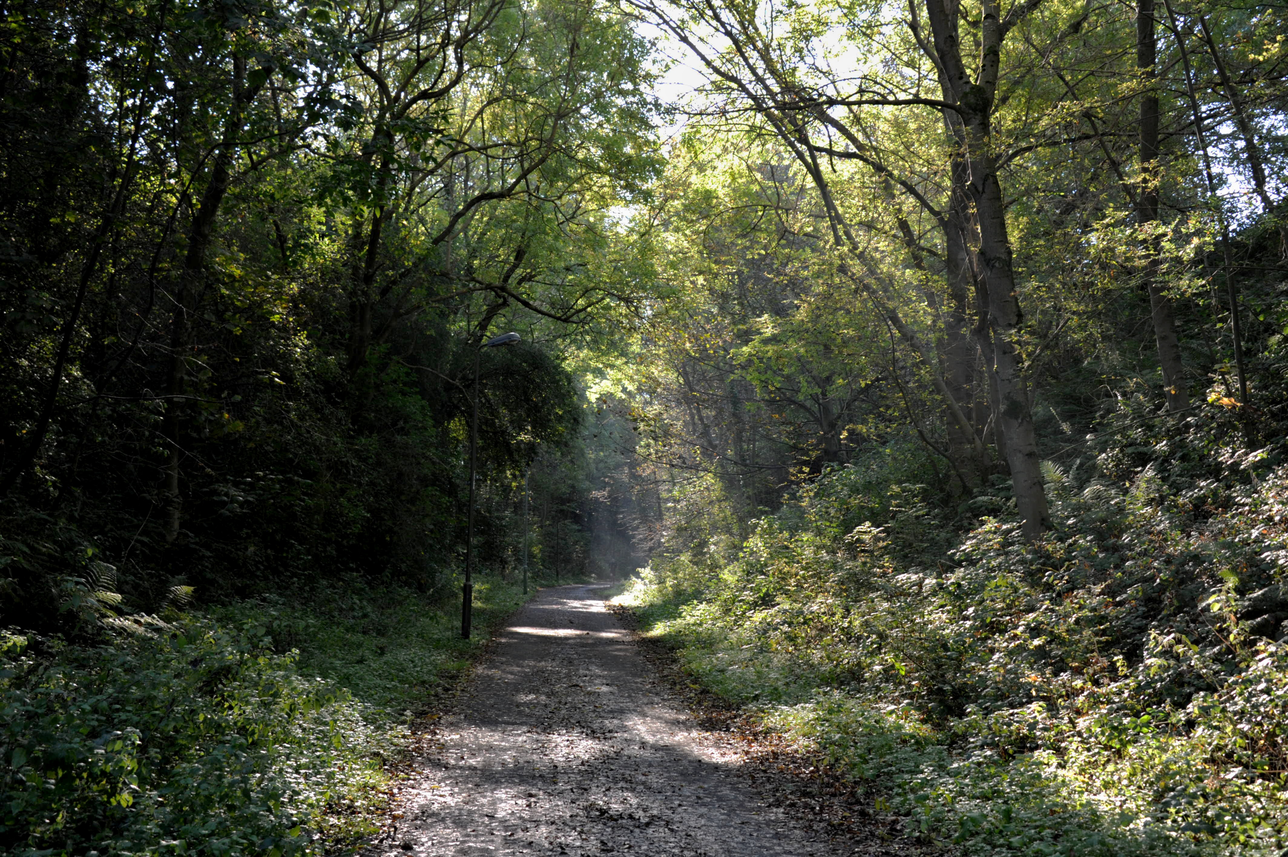 Roseburn Path