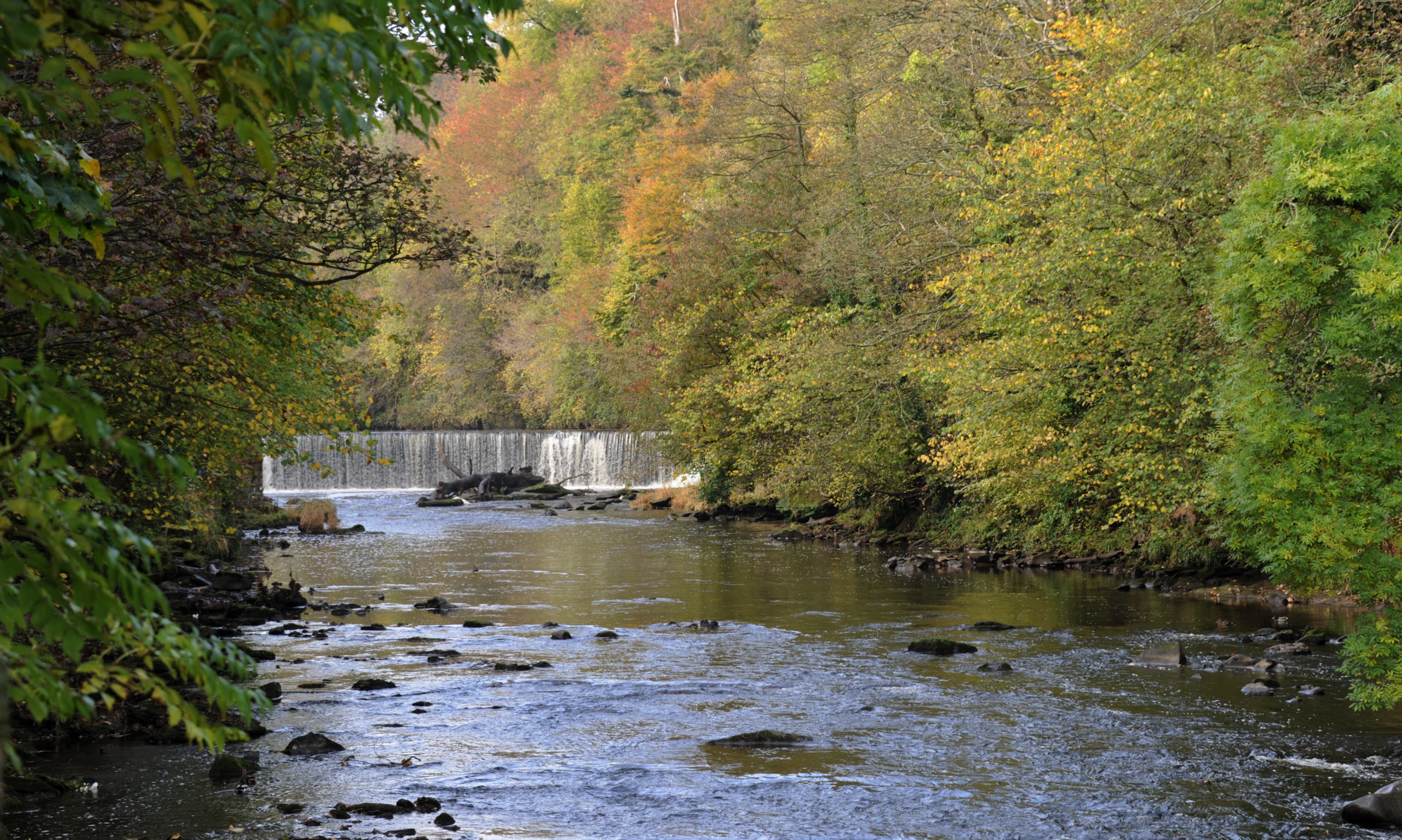 almond river more