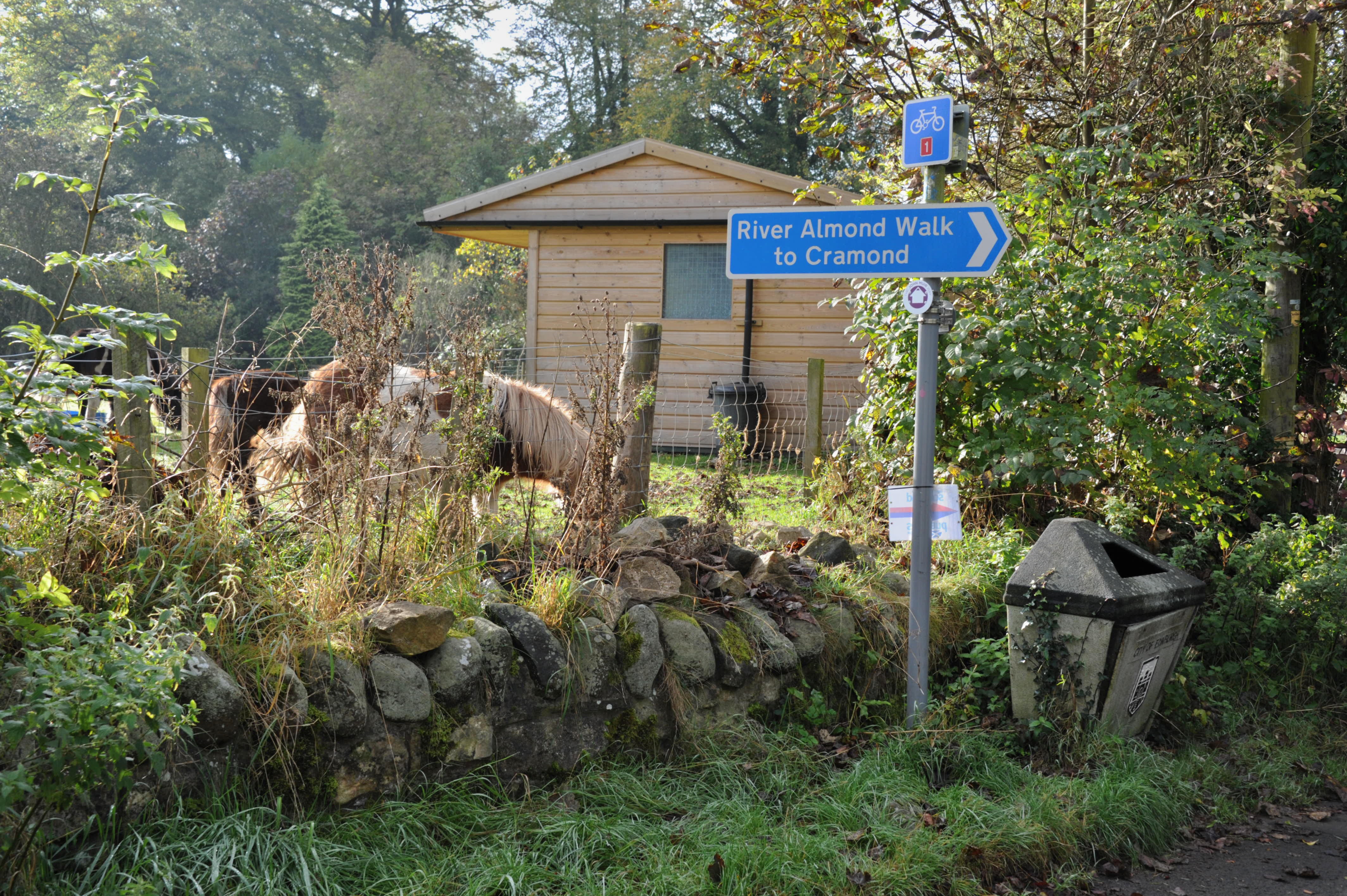 From here you'll realise why I've made you schlep out this way. Suddenly you're surrounded by nature. And look, there's even horses. Well, ponies. So, as the sign says, turn right here.