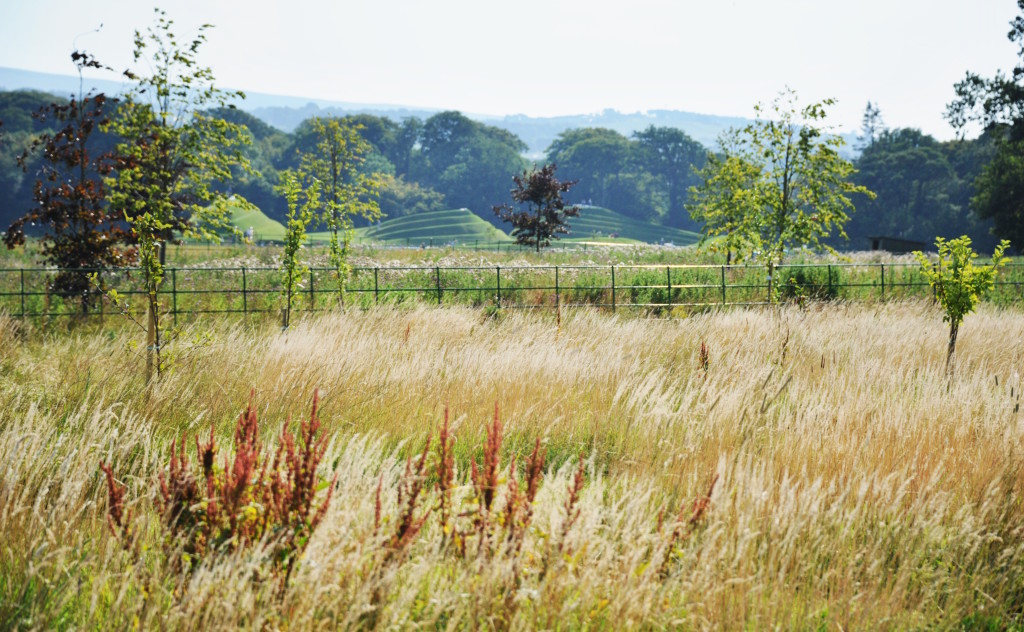 Jupiter Artland