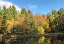 Autumn Stuff To Do In Edinburgh